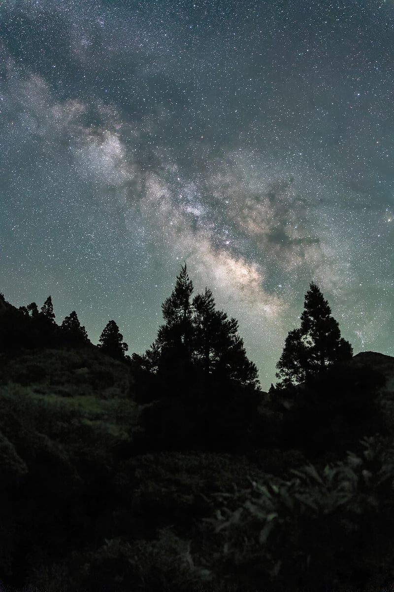 Milky Way Feast